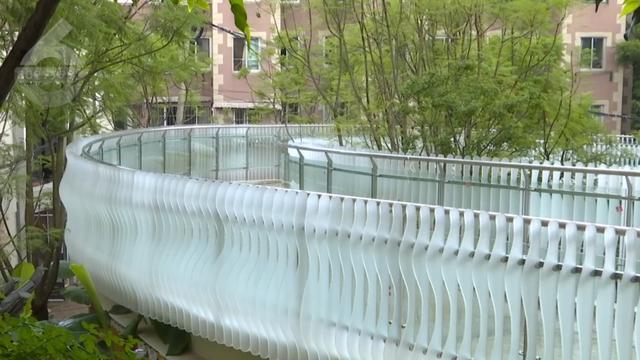 ！联通翠湖-老街又一空中栈道即将开放麻将胡了市中心“空中漫步”指日可期(图4)